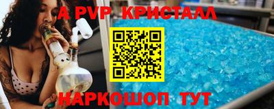 ешки Кингисепп