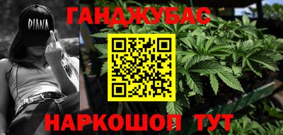 ешки Кингисепп