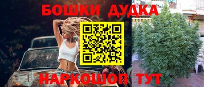 индика Кимры