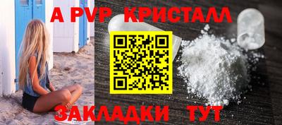 ешки Кингисепп