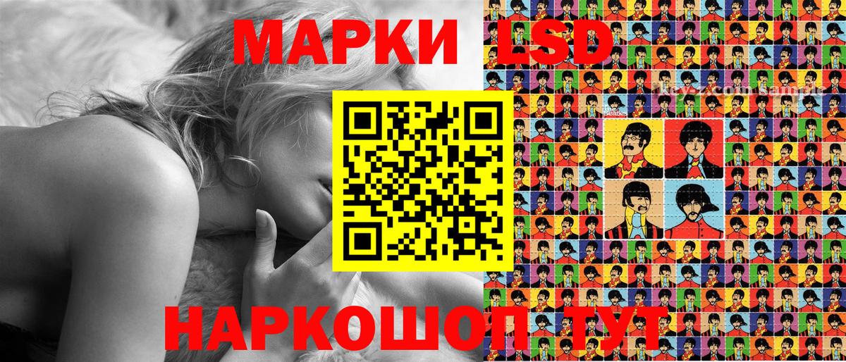 Наркотические марки 1,5мг  Наркотические марки  Елизово  Вход с VPN 