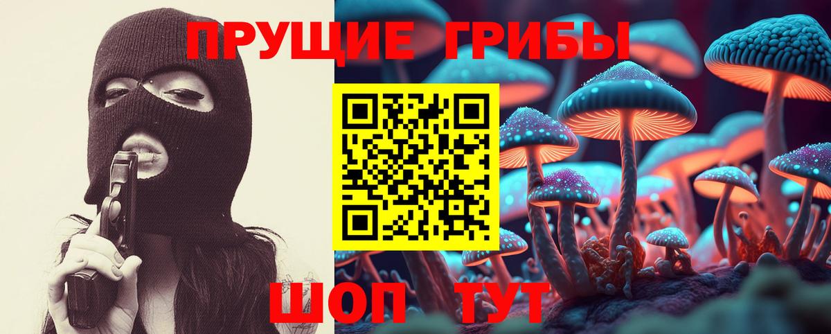 наркошоп  Галлюциногенные грибы Cubensis  Вход с VPN  Елизово 